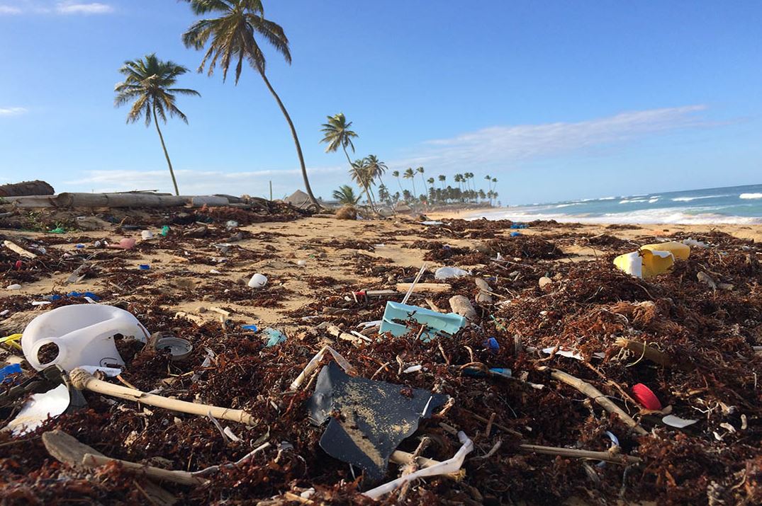 Plastic debris scattered across a tropical beach, illustrating the impact of plastic pollution on coastal ecosystems and biodiversity.